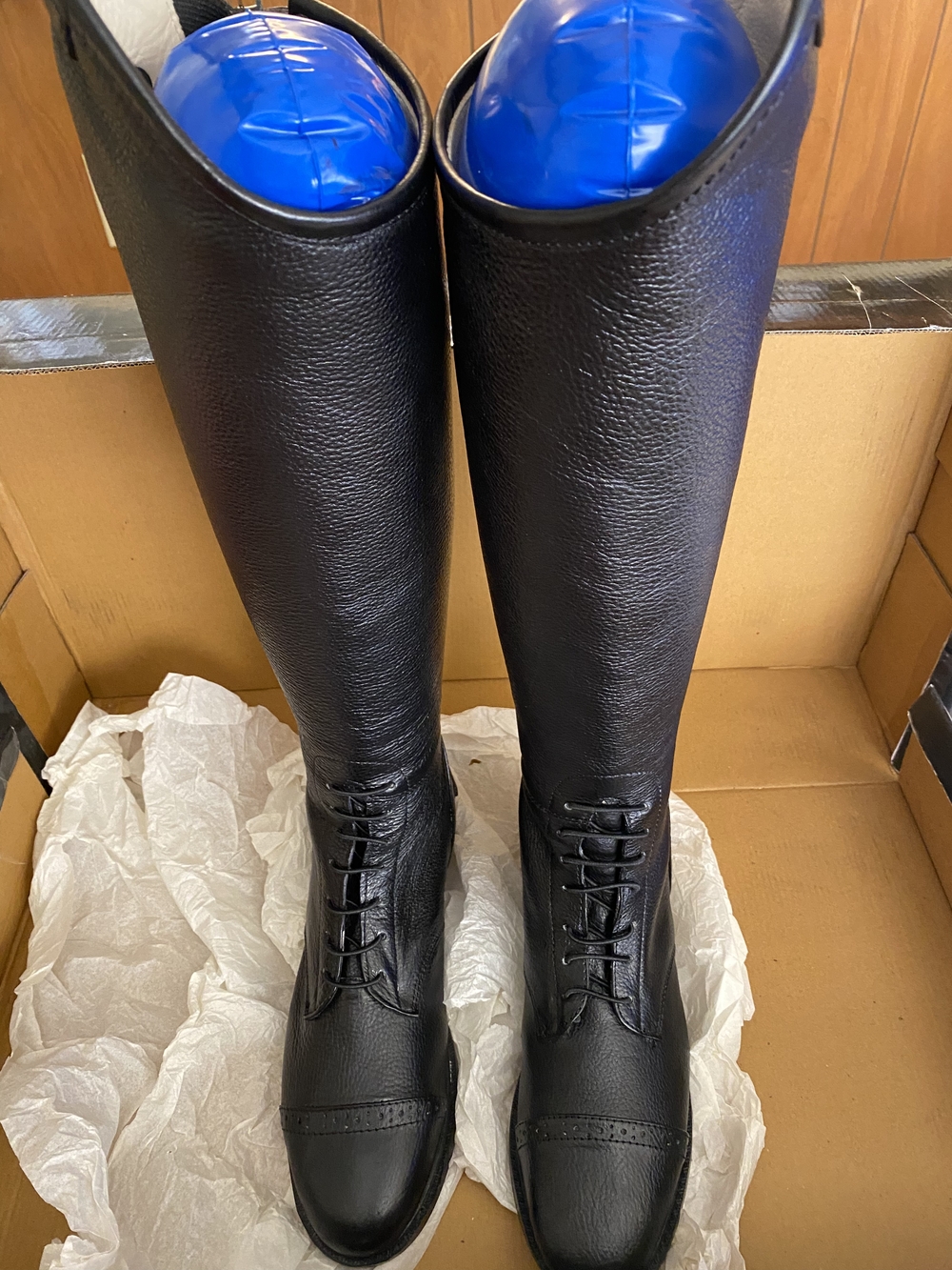 Women's Black Belmont Tall Field Riding Boots